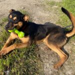 2-02-23 Bus Stop (Ty) (11)