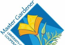 Gardener’s Corner: Camellia Petal Blight