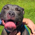 5-17-23 Mississippi Blue (1)