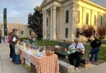 Downtown Colusa Art Walk returns March 26