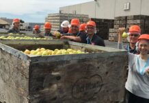 Del Monte Exit Shakes Sutter Peach Growers