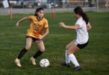 Soccer Roundup