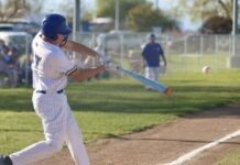 Baseball Roundup Published April 24, 2026