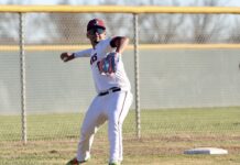 Baseball Roundup Published April 3, 2026