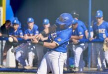 Baseball Roundup Published May 1, 2026