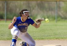 Softball Roundup Published April 3, 2026