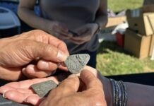 Museum Expo Highlights Regional History