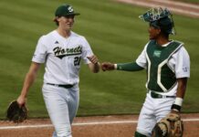 Lay Living His Baseball Dream