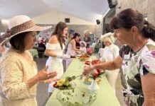 Stonyford Tea Party Rooted in History