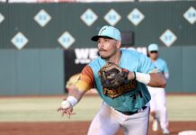 Freebirds Drop Third-Straight Series in June