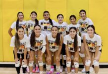 Williams Volleyball: Consistency is Key