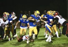 Bears Fall Short in Upset Bid