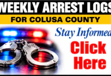 Arrest Log Published Oct. 16, 2026